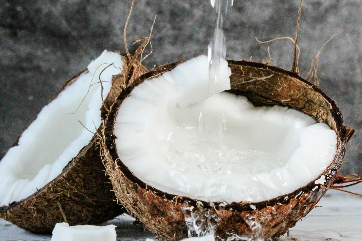 Different Types of Coconuts