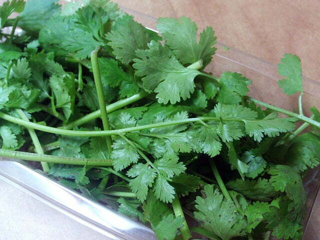 Dry-Cilantro