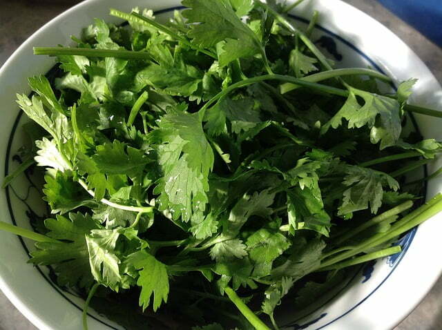 Rinse-Cilantro-foofnstuff