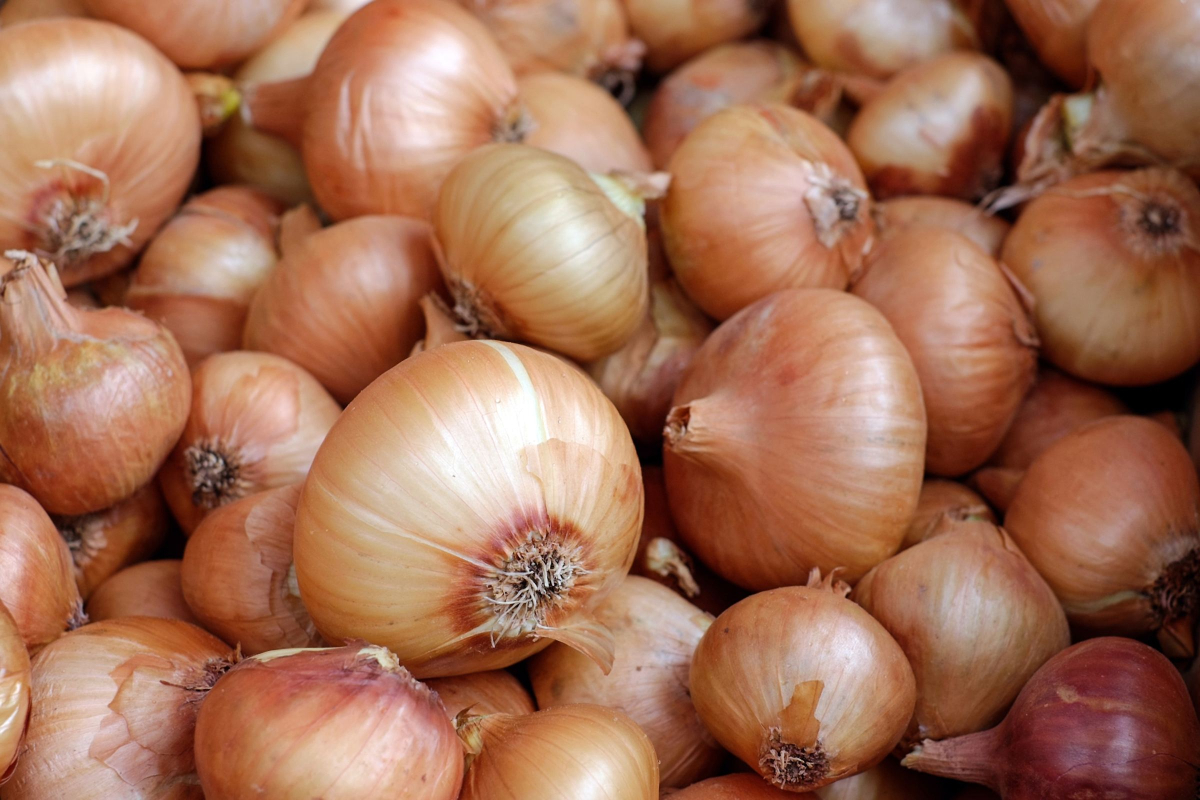 types of onions