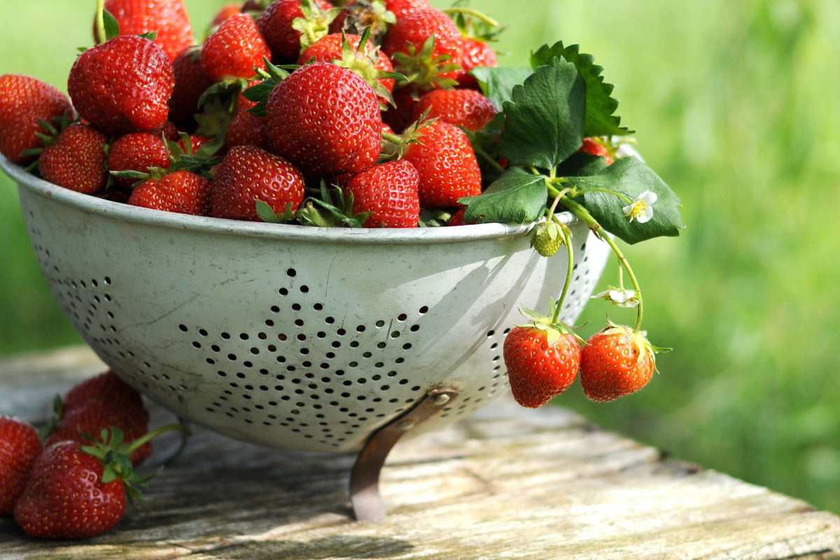 The Best Way To Store Strawberries
